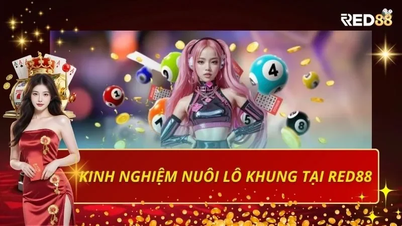 Kinh nghiệm nuôi lô khung tại Red88