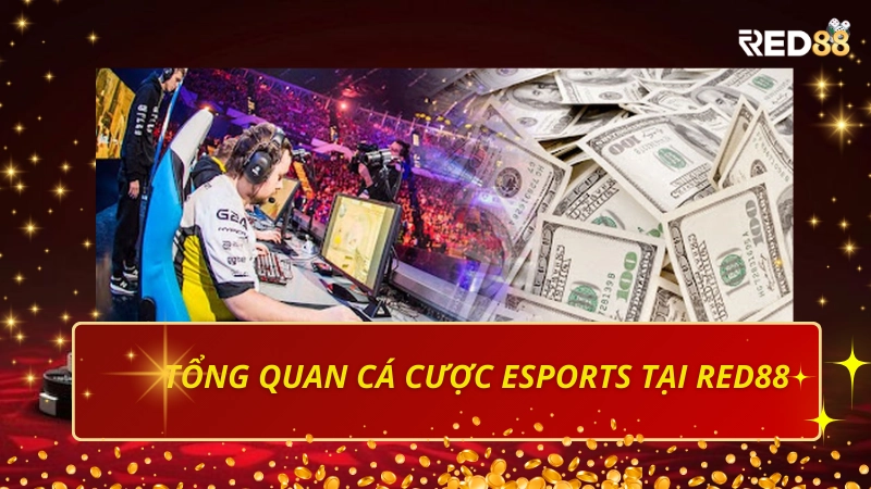 Cá cược eSports tại Red88