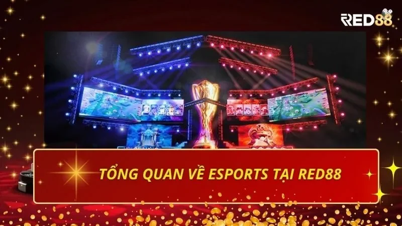 Tổng quan về eSports tại Red88