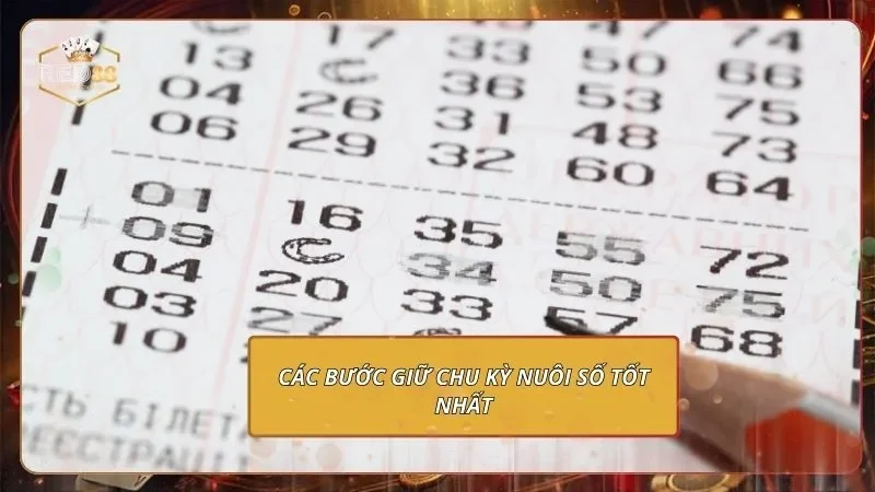 Các bước giữ chu kỳ nuôi số tốt nhất