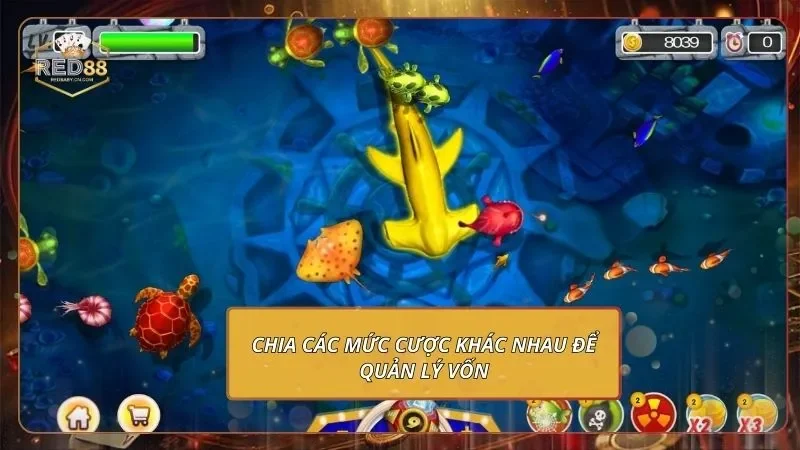 Chia các mức cược khác nhau để quản lý vốn