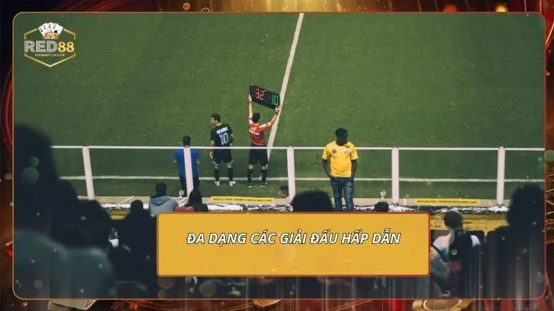 Đa dạng các giải đấu hấp dẫn