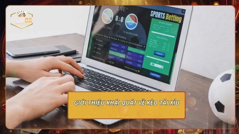 Kèo Tài Xỉu RED88 - Học Chơi Đúng Nhịp, Săn Cược Thắng Lớn 1 Giới thiệu khái quát về kèo tài xỉu