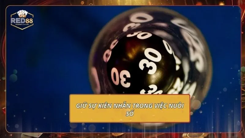 Giữ sự kiên nhẫn trong việc nuôi số