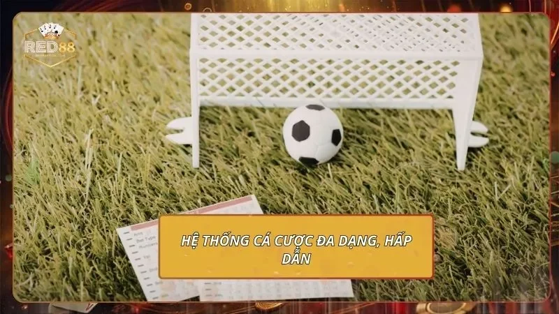 Trang chủ 9 Hệ thống cá cược đa dạng, hấp dẫn