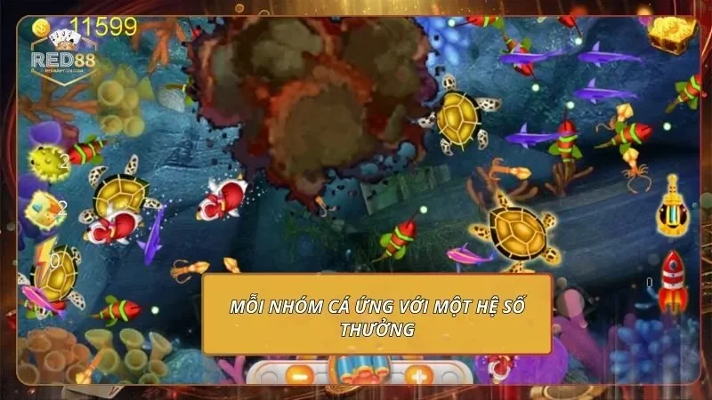 Mỗi nhóm cá ứng với một hệ số thưởng