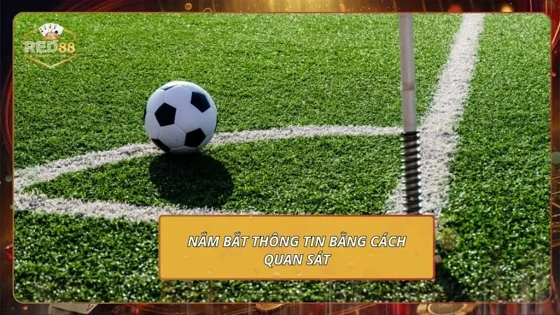 Nắm bắt thông tin bằng cách quan sát