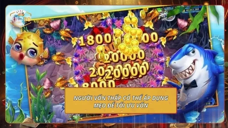 Người vốn thấp có thể áp dụng mẹo để tối ưu vốn