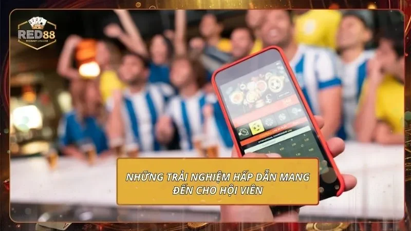 Những trải nghiệm hấp dẫn mang đến cho hội viên