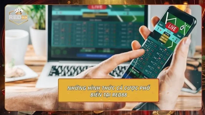 Câu Hỏi Thường Gặp - Giải Đáp Cặn Kẽ Các Thắc Mắc 4 Những hình thức cá cược phổ biến tại RED88